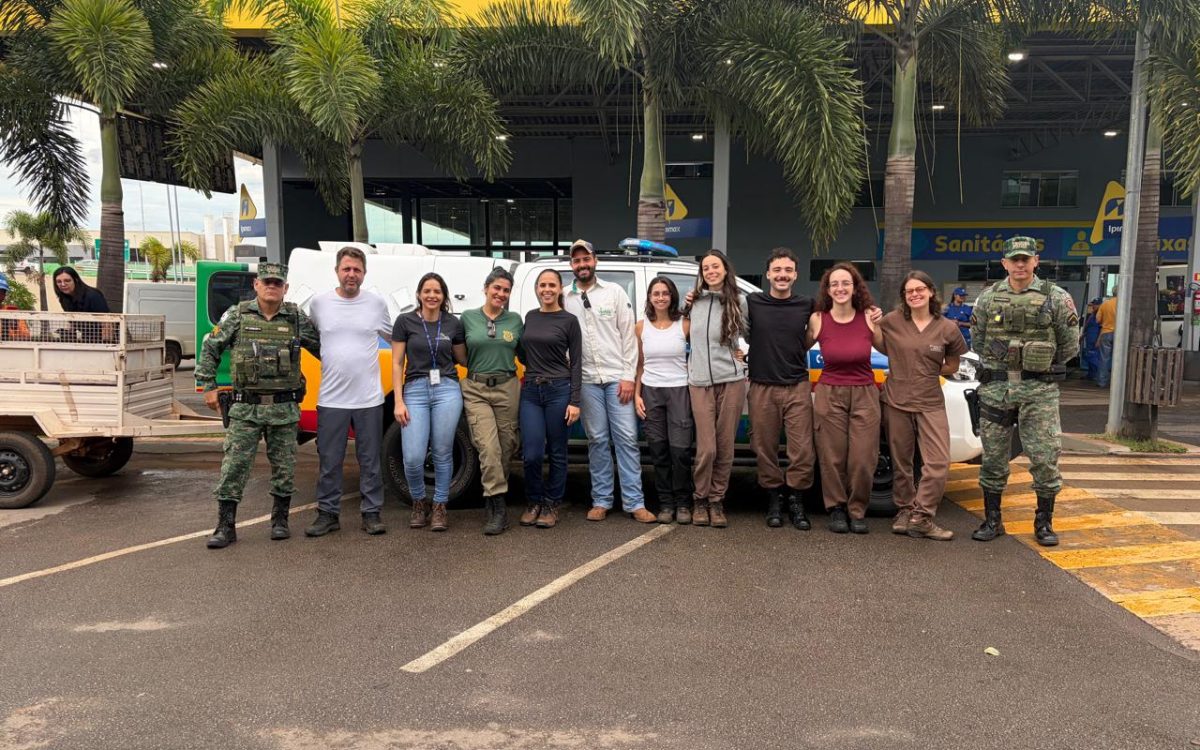 Sefac realiza solturas de animais silvestres e avança em projeto de preservação ambiental